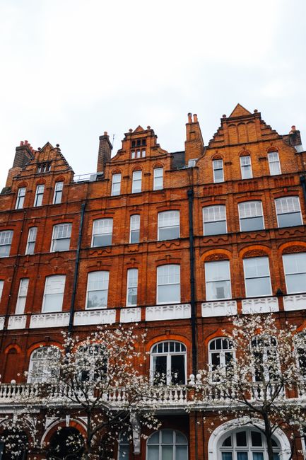 A close-up view of a multi-storey Victorian red-brick building with white window frames, some with rounded arches at the ground level. In the foreground, blooming white cherry blossom trees line the s